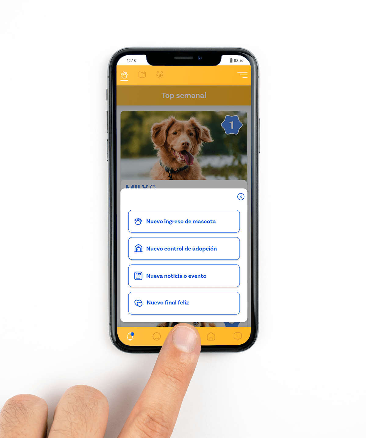 Perfiles de refugios - botón +