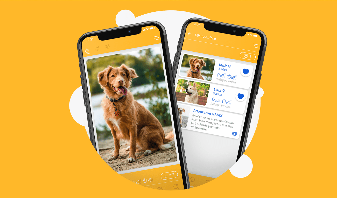 Caratula-Desig-DOGCH